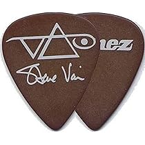 スティーヴ・ヴァイ Steve Vai ギターピック スティーヴ・ヴァイ Steve Vai ギターピック